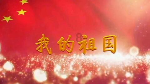 赏金猎人团
