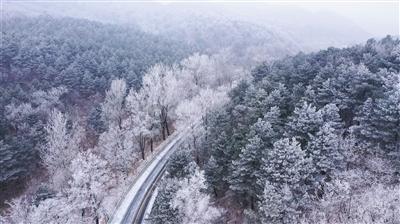 快评丨商贩忽悠游客买700元鱿鱼片，为游客撑腰就是为城市“上分”